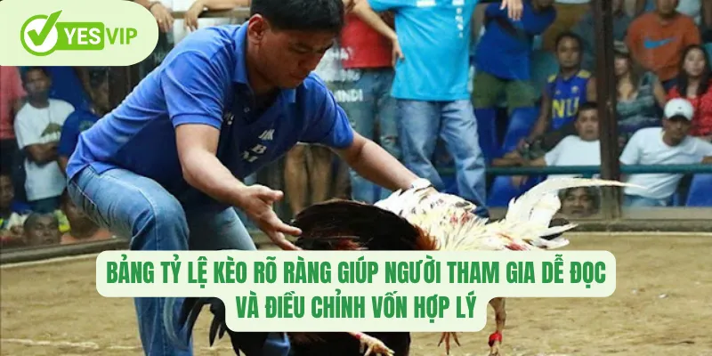 Bảng tỷ lệ kèo rõ ràng giúp người tham gia dễ đọc và điều chỉnh vốn hợp lý