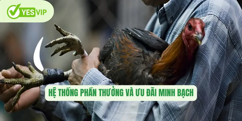 Hệ thống phần thưởng và ưu đãi minh bạch