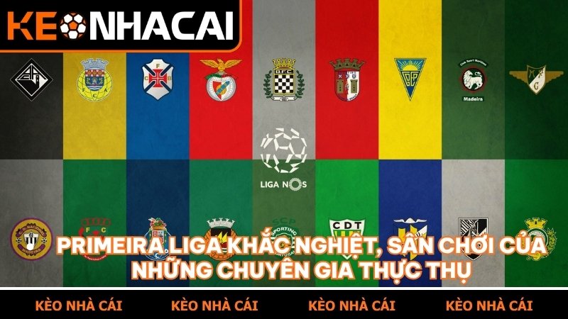 Primeira Liga khắc nghiệt, sân chơi của những chuyên gia thực thụ