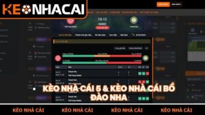 keo nha cai bo dao nha
