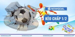kèo chấp 1/2