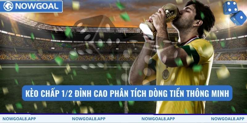 Kèo chấp 1/2 đỉnh cao phân tích dòng tiền thông minh